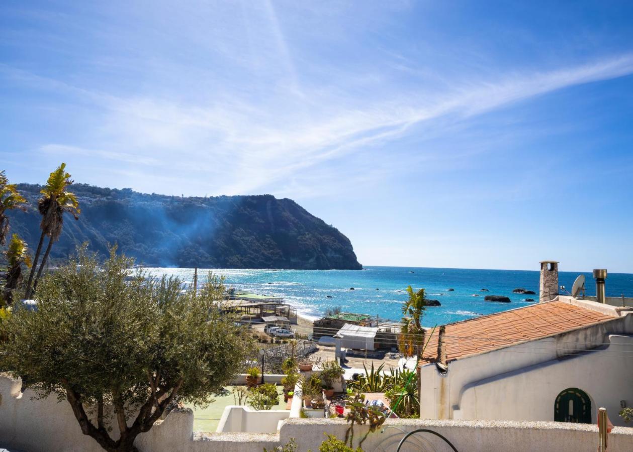 Lucia Maison Forio di Ischia Exteriér fotografie